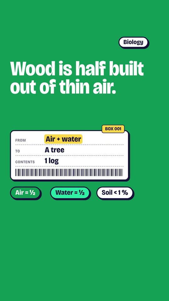 Closing frame: “Wood is half built out of thin air.” with a shipping label from air and water to a tree.