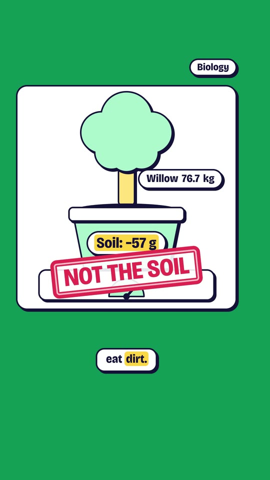 A willow growing in a pot on a scale while the soil barely changes, with a stamp reading “Not the soil”.