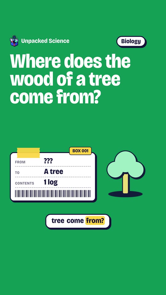 Opening frame of a video: the question “Where does the wood of a tree come from?” next to a shipping label.